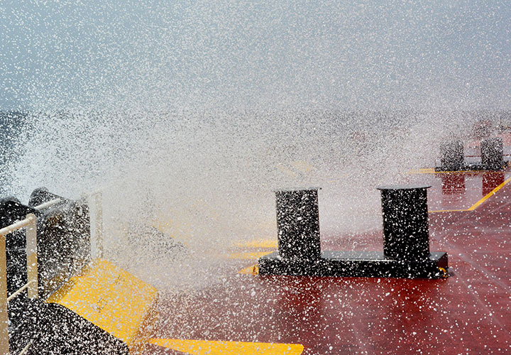 Protection-Status-Guide